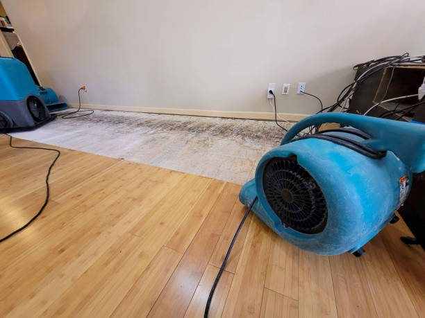Professional Basement Flood Cleanup technician working in Big Prairie, OH